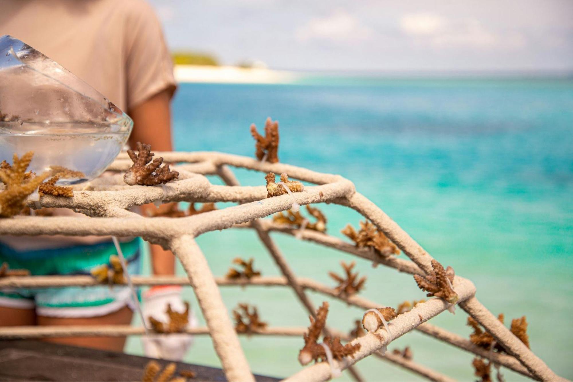 Sheraton Maldives Full Moon Resort & Spa Hulhumale Esterno foto